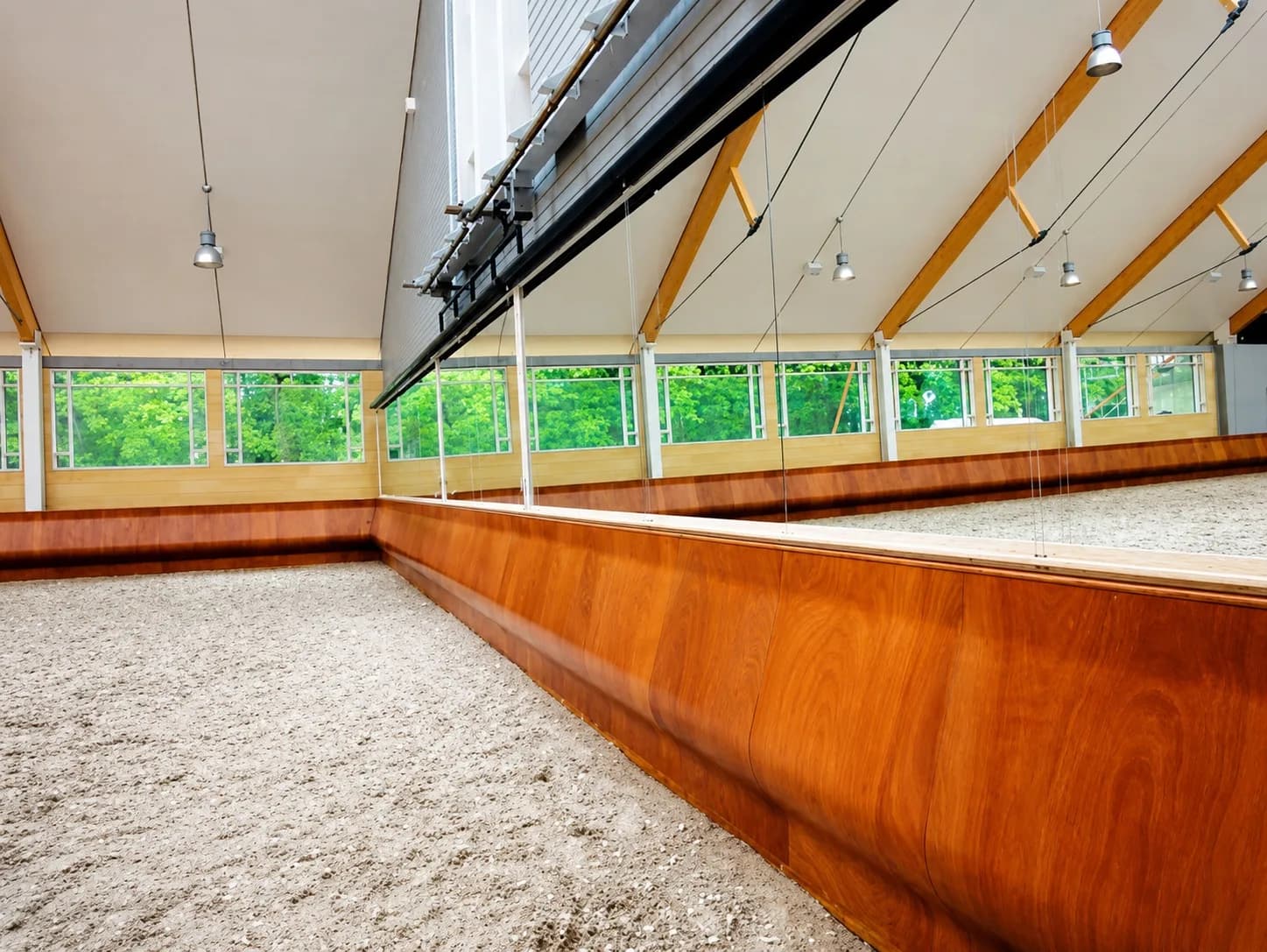 Produkt Reithallebande Profi (Pro m1)